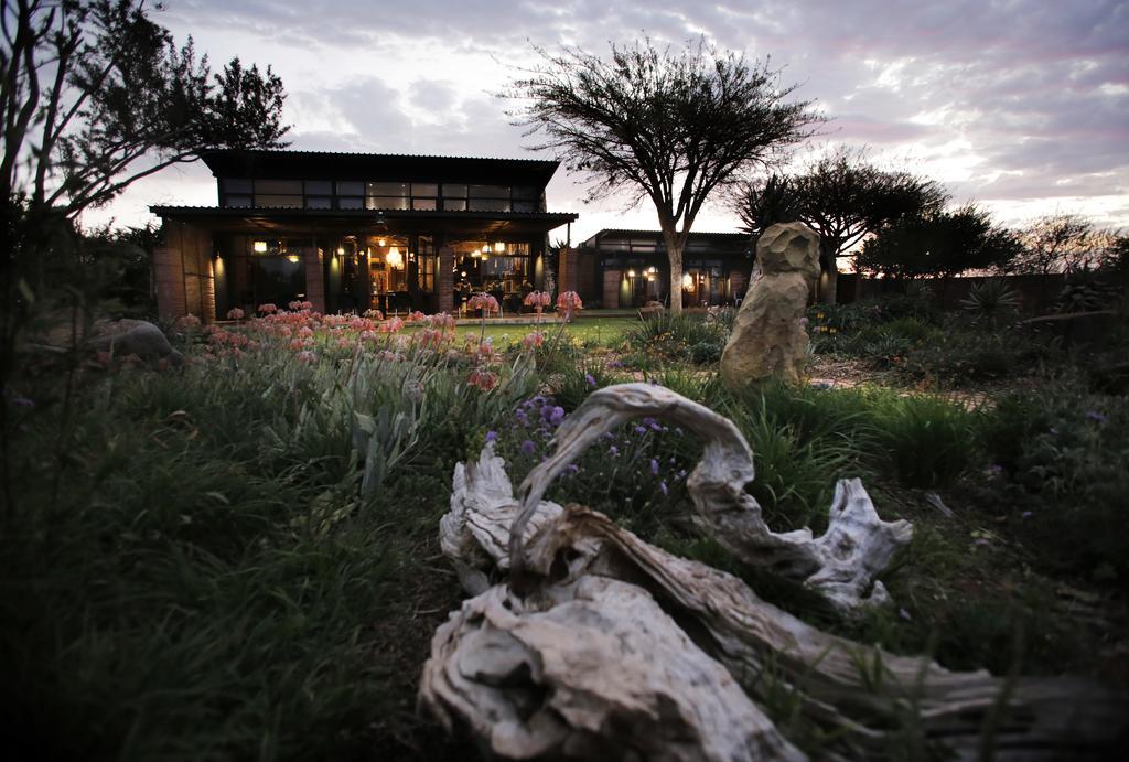 Liedjiesbos Urban Olive Farm Bed & Breakfast Bloemfontein Exterior foto